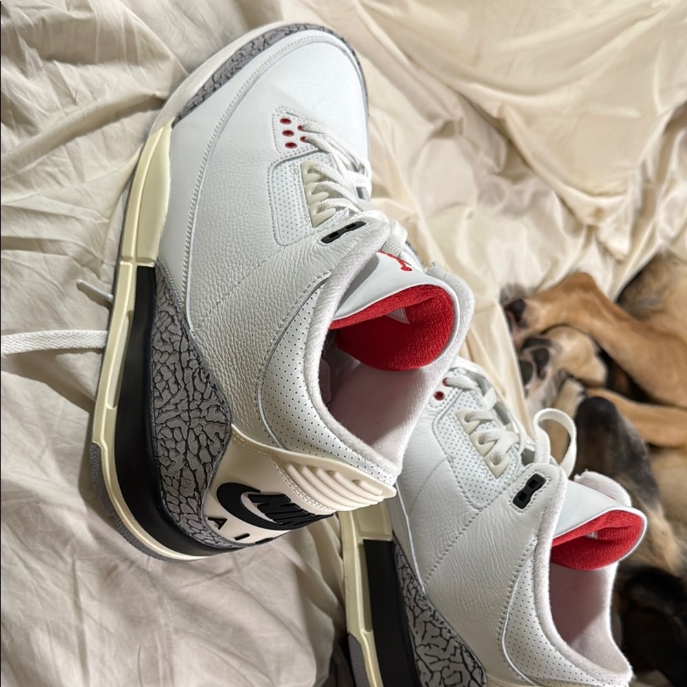 Jordan 3 retro